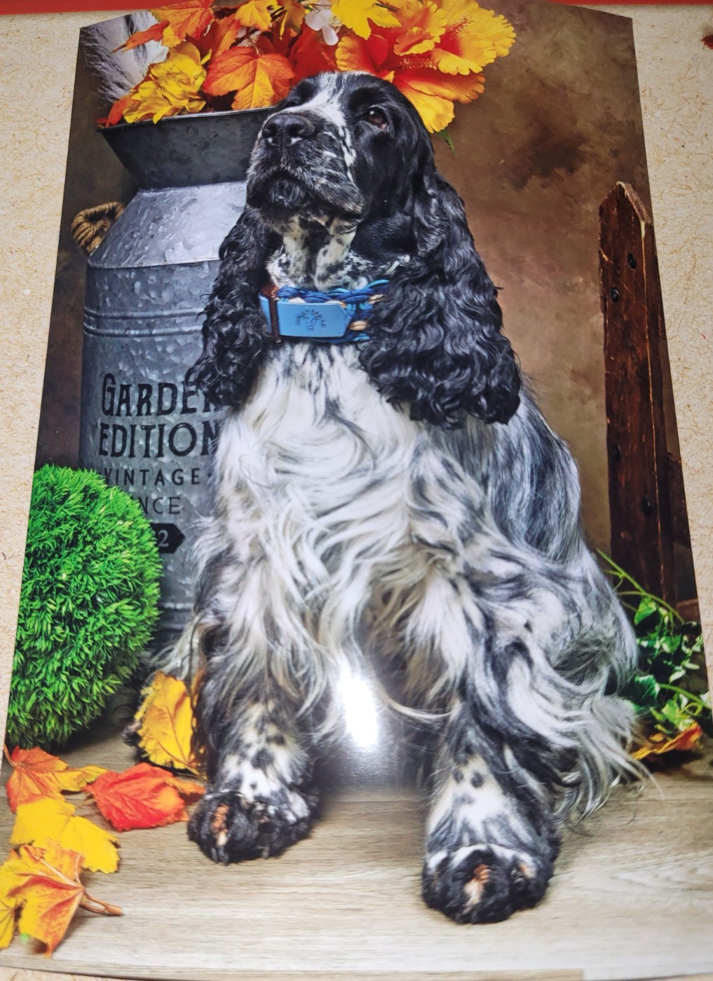 Very blue Du Domaine D'Anteros