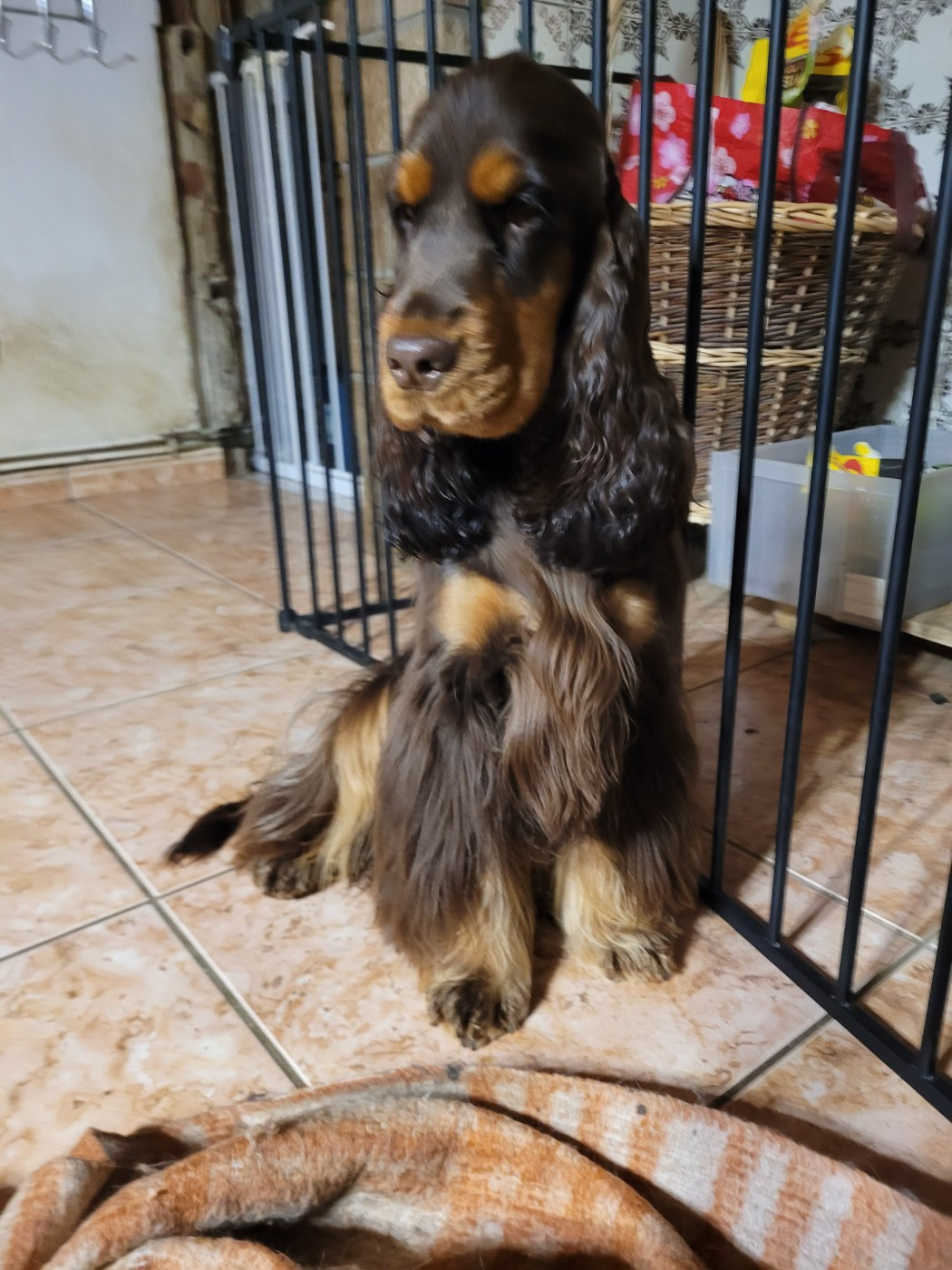 April De L'Etoile Fortifiée